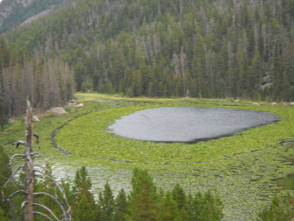 Cub Lake