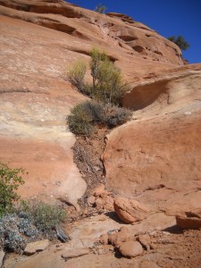 at Colorado National Monument