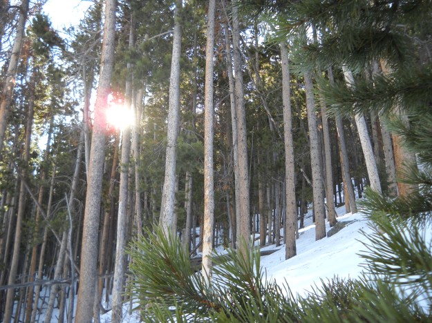 Rocky Mountain National Park