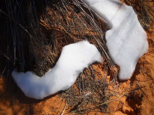 Coral Pink Sand Dunes
