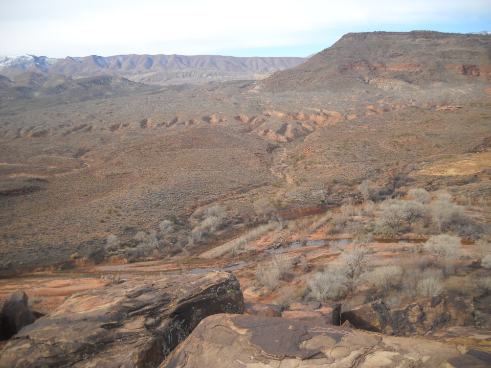 Santa Clara River Reserve #1