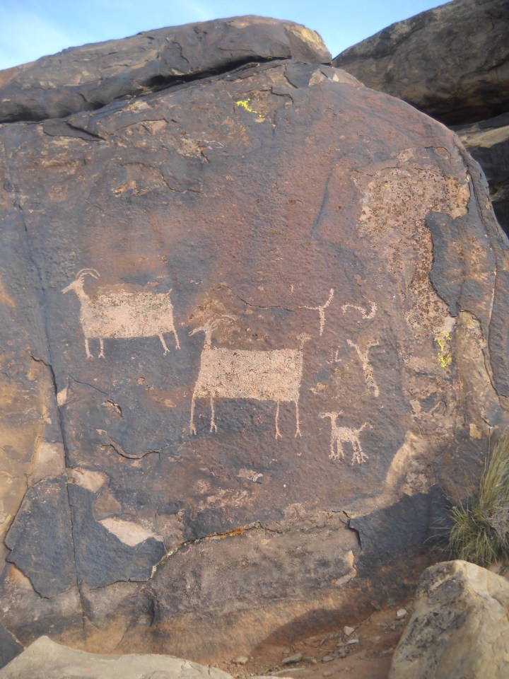 Santa Clara River Reserve #4