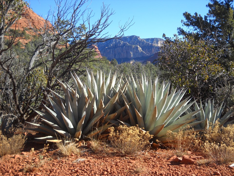 Sedona, Jim Thompson Trail