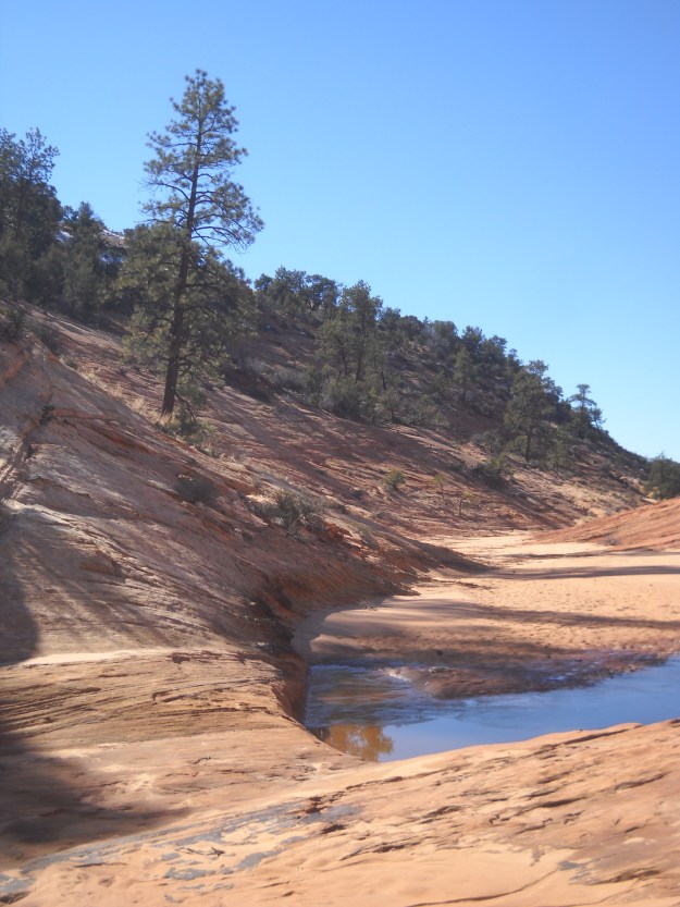 Moccasin Mountain Dinosaur Tracksite, GSENM