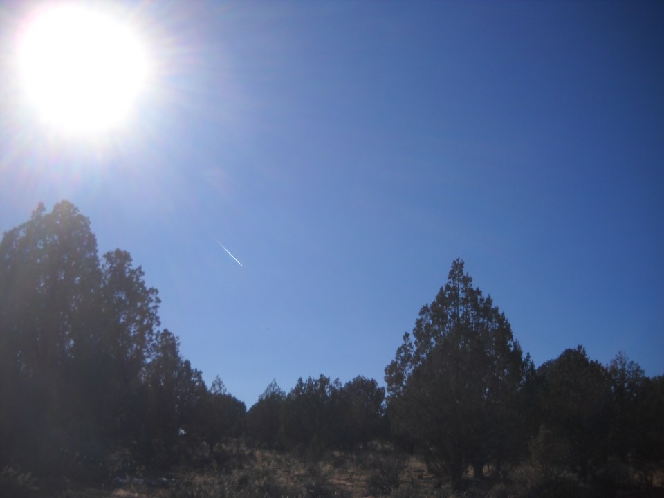 Moccasin Mountain Dinosaur Track site #1