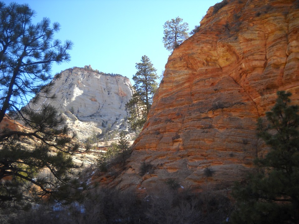 Zion near the East Entrance