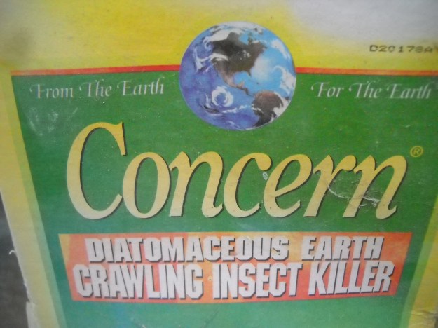 diatomaceous earth
