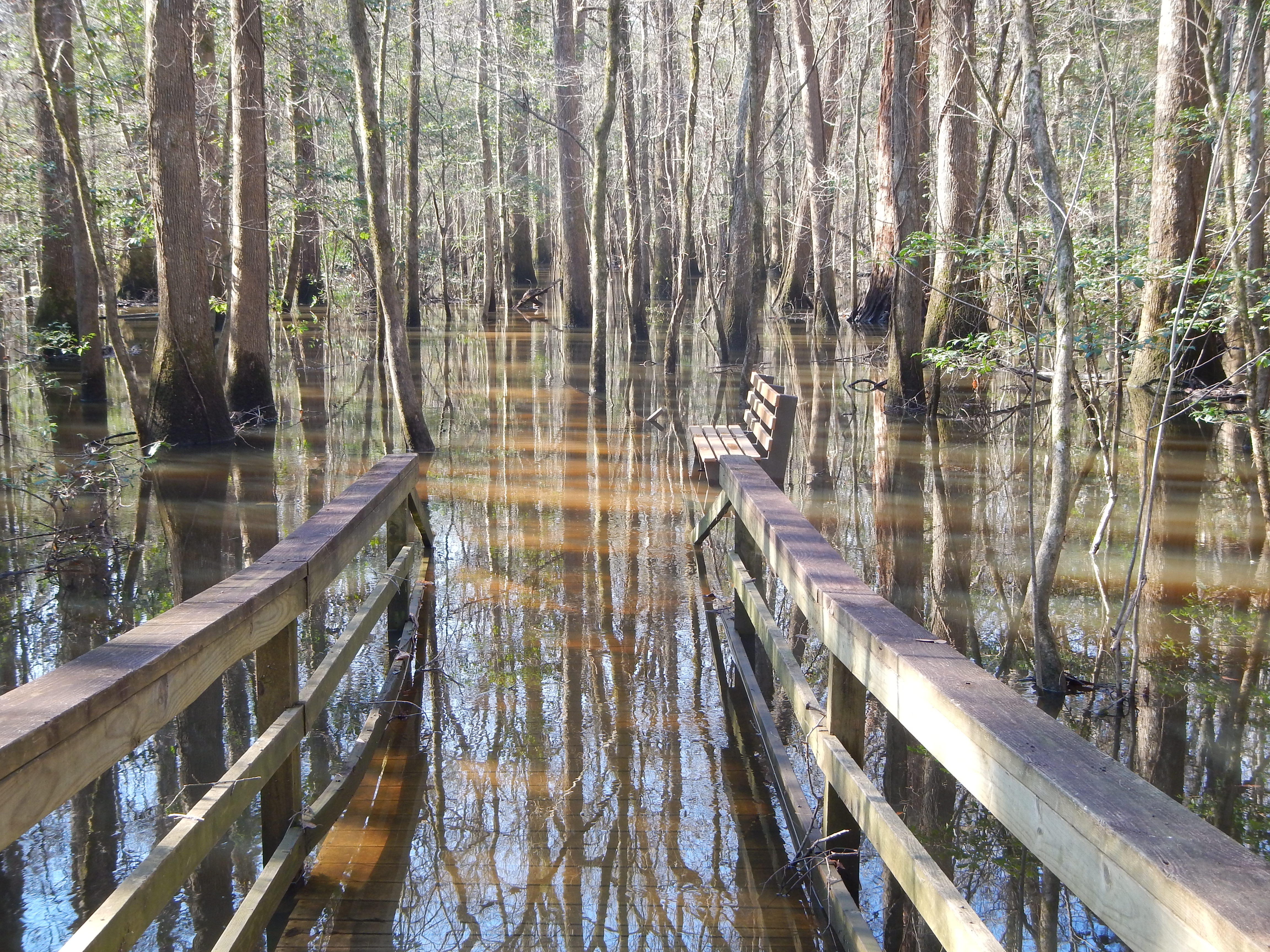 Congaree National Park