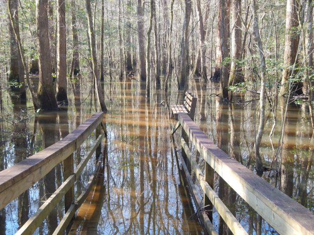Congaree National Park