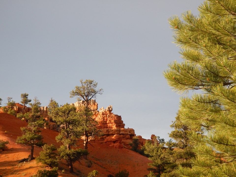 Red Canyon, Dixie National Forest