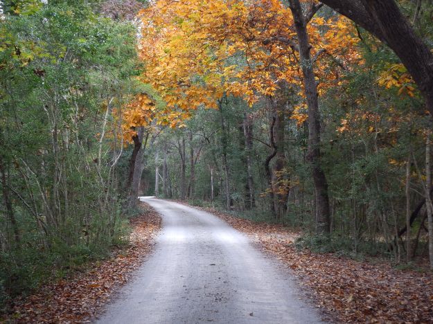 Beach Road, Meher Spiritual Center, Myrtle Beach, SC