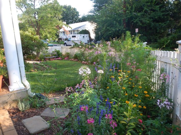 July: the garden and the camper