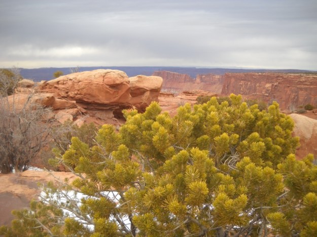 Needles Overlook, Canyons