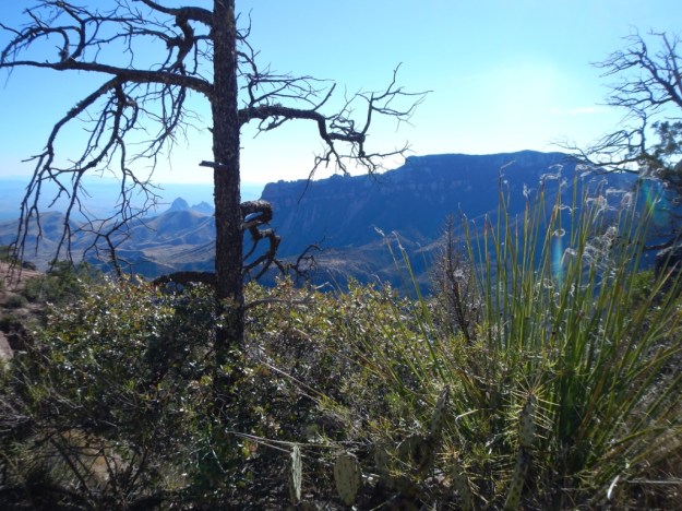 View fromLost Mine Trail, Big Bend N.P.