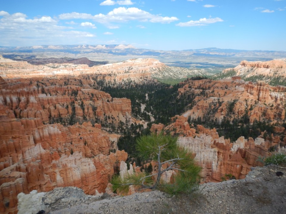 Bryce Canyon looking westward
