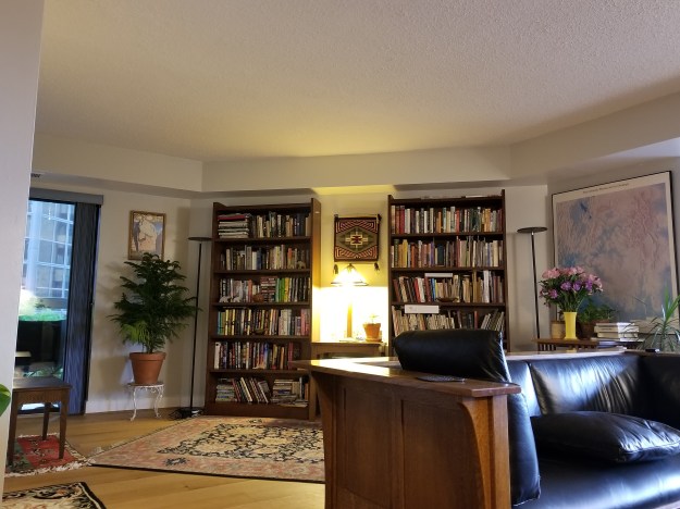 our living room, 1.13.18