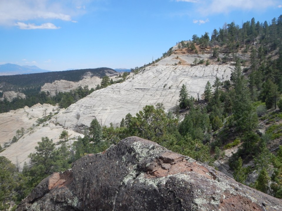 Singletree Campground, Fishlake National Forest
