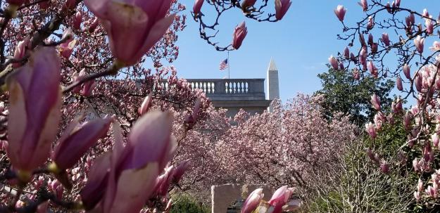 Enid Haupt Garden, March 24, 2018