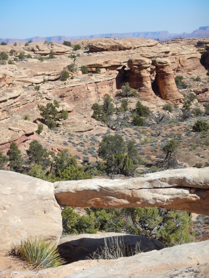 In the Needles District, Canyonlands National Park