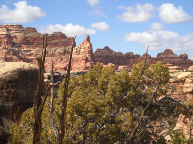 near Chesler Park, The Needles, Canyonlands National Park