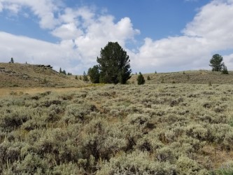 near South Pass, Wyoming