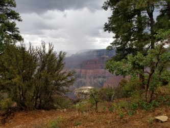 clouds and vegetation, North Rim