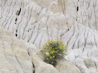 Theodore Roosevelt National Park