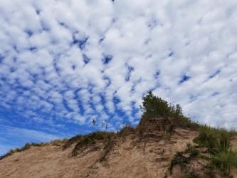 Pierce Stocking Scenic Drive