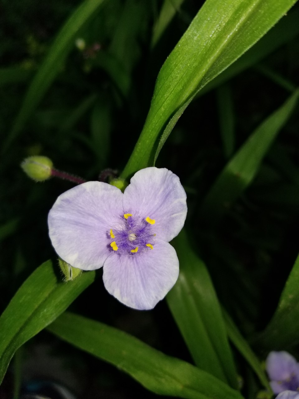 May 22, 2019, Arlington, Virginia