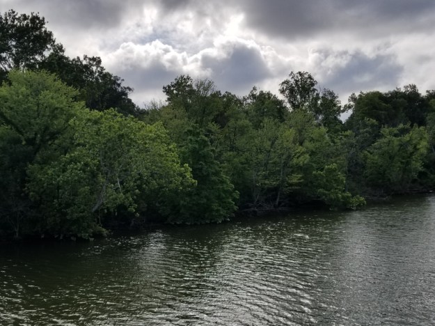Potomac River and Theodore Roosevelt Island